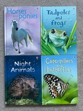 Kids Usborne Animal Book Bundle